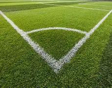 拜仁德甲,场不败,仅剩,FB体育平台,FB体育官方网站,FB体育登录入口,FB体育app下载