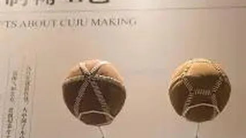 五湖四海人士齐聚，共话欧亚之选——浙江、山东、江苏、河南……