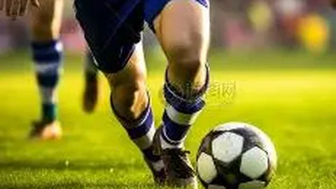 FB体育 资讯 100210 c6e