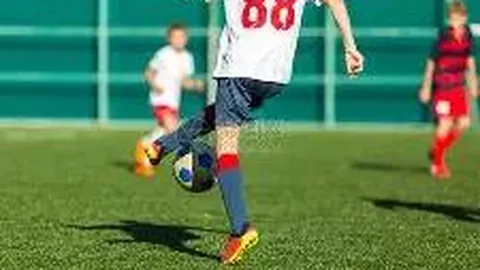 2025年注会每日练习集锦11月25日